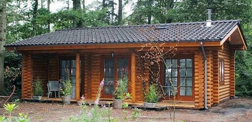 Cabin log homes