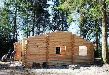 Log home building plans